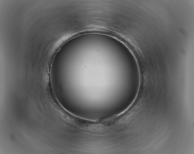 X0000112521363200908171345