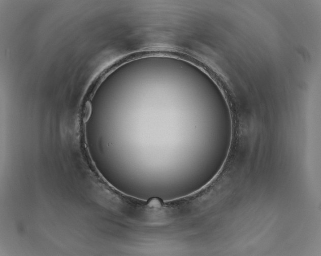 X0000112521364200908171345