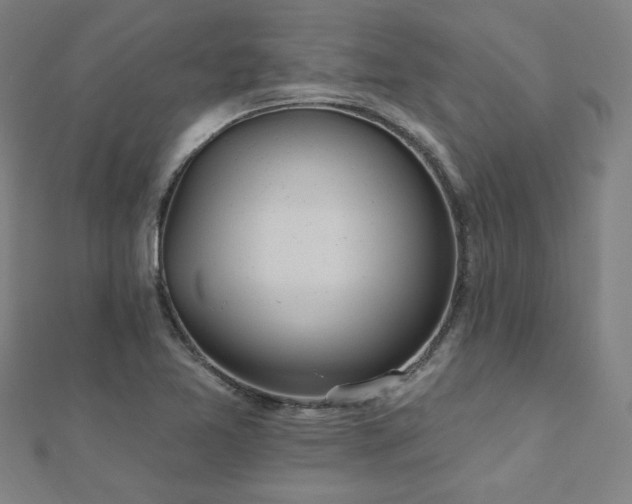 X0000112521365200908171345