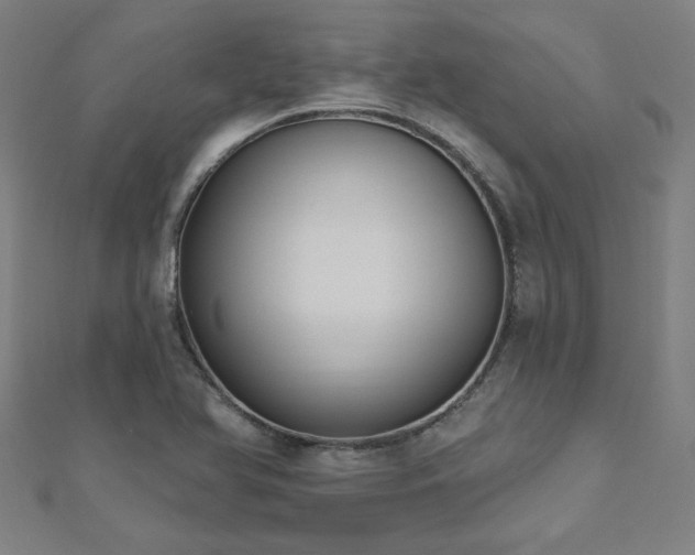 X0000112521366200908171345