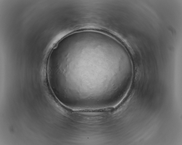 X0000112521367200908171345