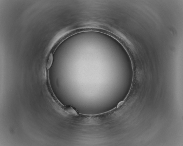 X0000112521368200908171345