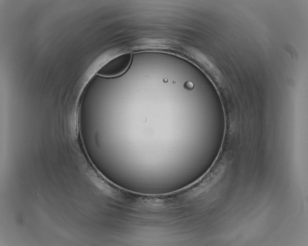 X0000112521370200908171345