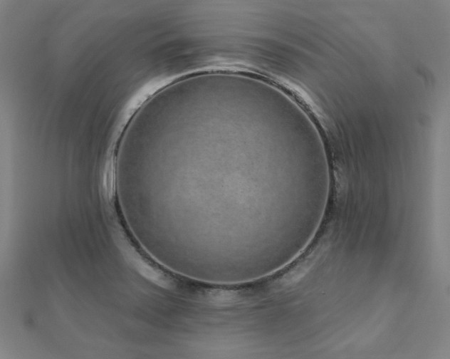 X0000112521371200908171345