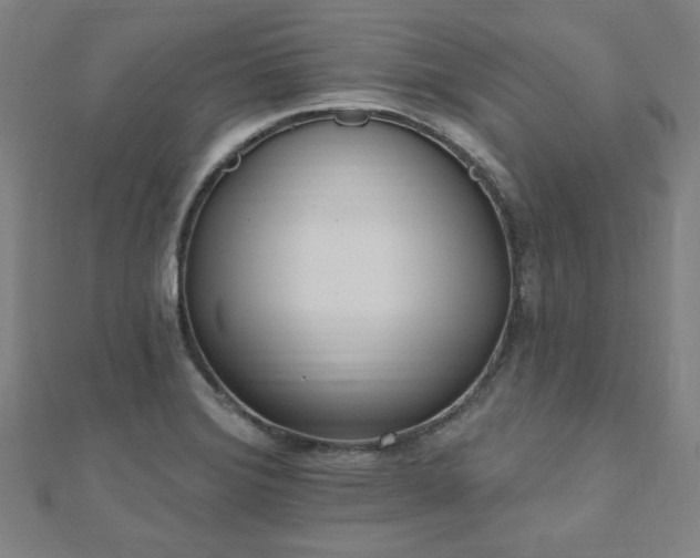 X0000112521372200908171345