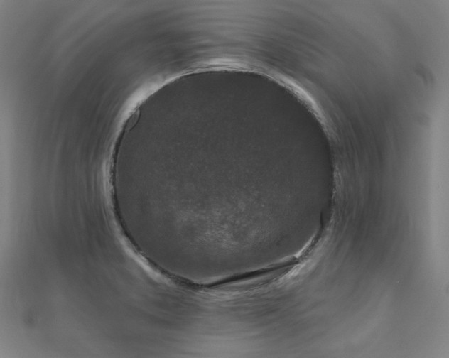 X0000112521373200908171345