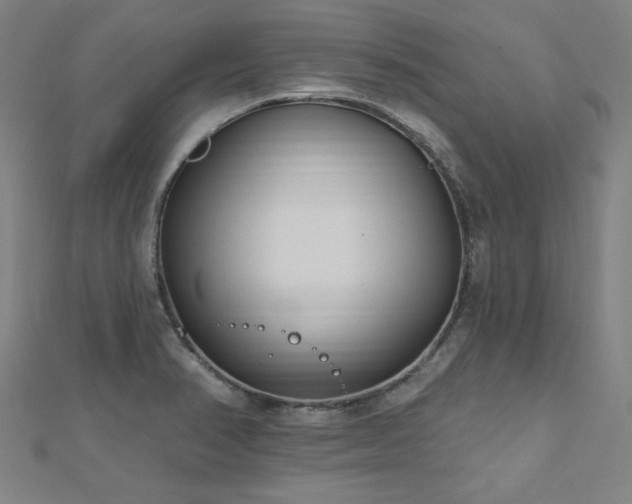 X0000112521374200908171345