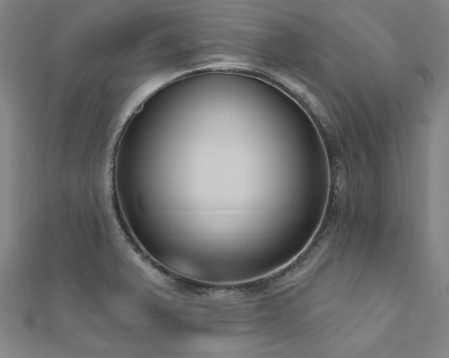 X0000112521375200908171345