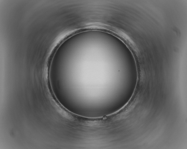 X0000112521376200908171345