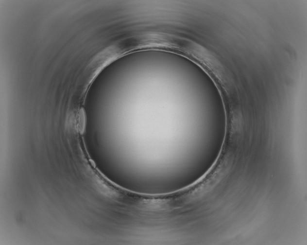 X0000112521377200908171345