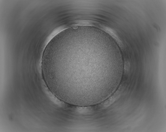 X0000112521378200908171345