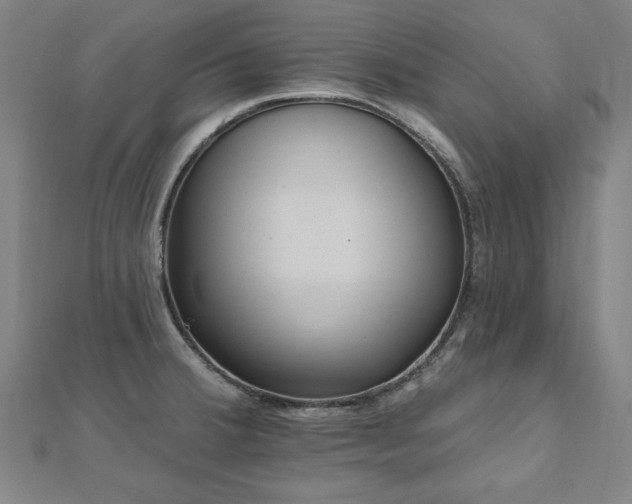 X0000112521380200908171345