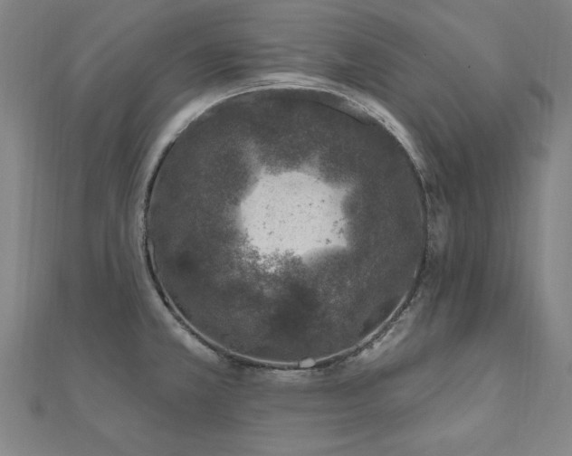 X0000112521381200908171345