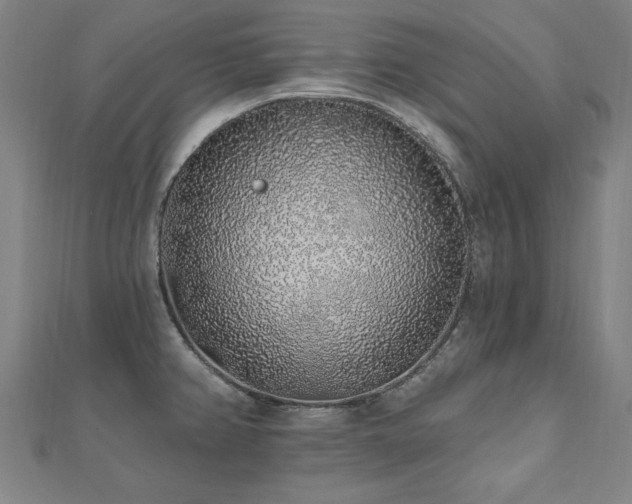 X0000112521382200908171345