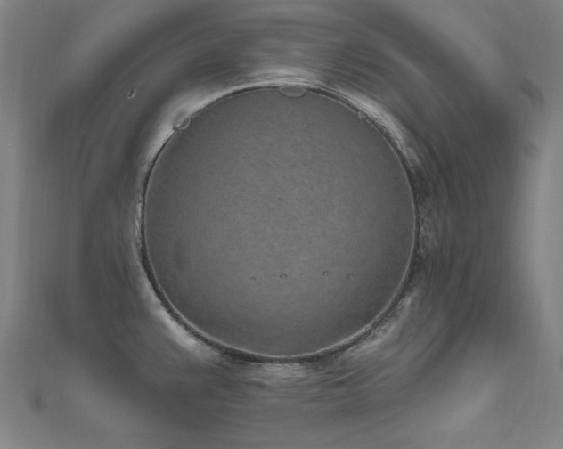 X0000112521383200908171345