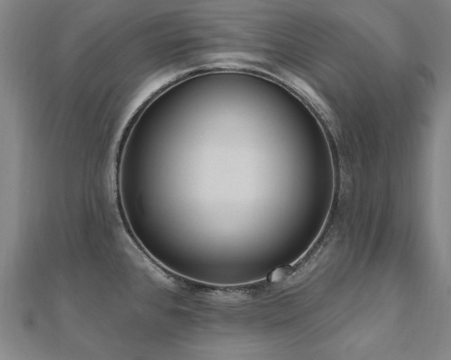 X0000112521384200908171345
