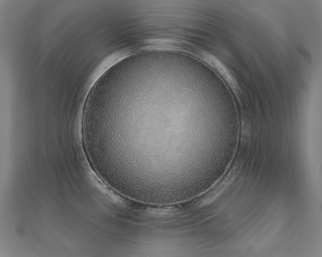 X0000112521386200908171345