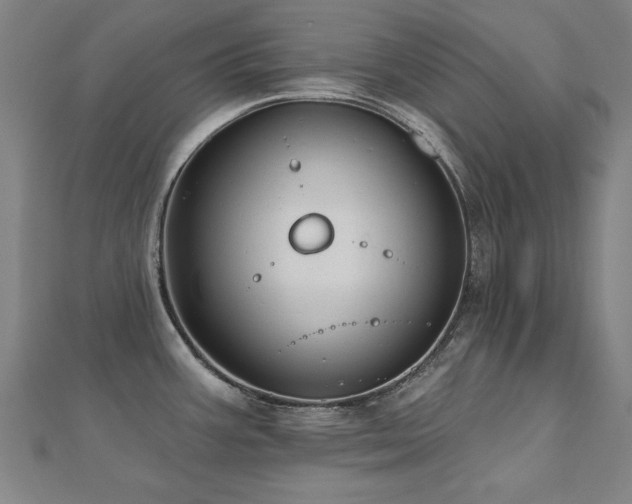 X0000112521387200908171345