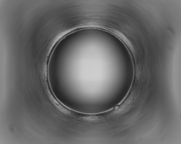 X0000112521388200908171345