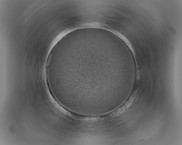 X0000112521389200908171345