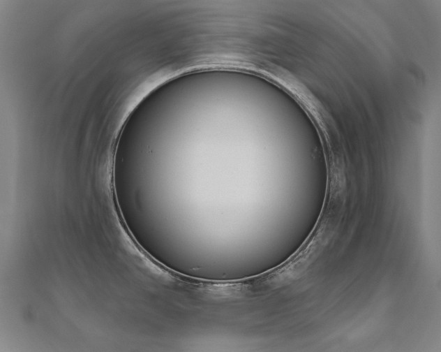 X0000112521390200908171345