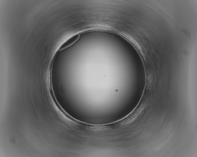 X0000112521391200908171345