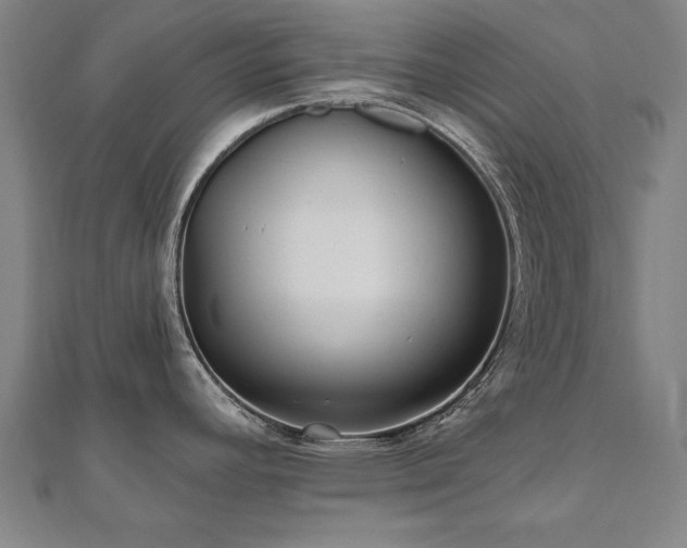 X0000112521392200908171345