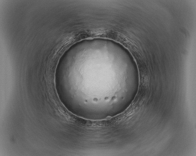 X0000112521393200908171344