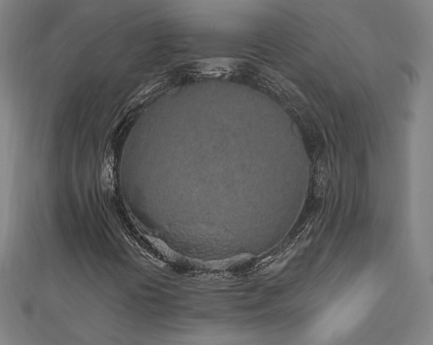 X0000112521394200908171344