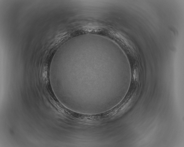 X0000112521396200908171345