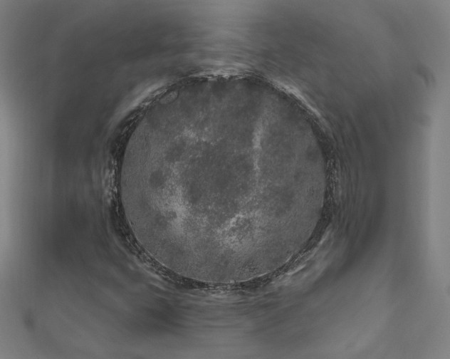 X0000112521399200908171345