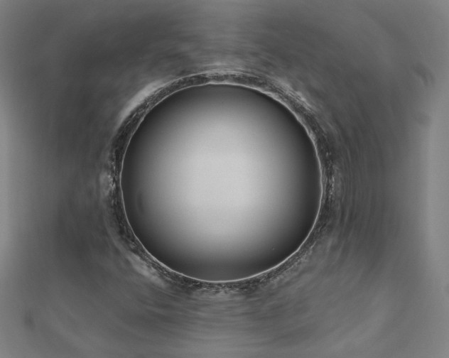 X0000112521400200908171345