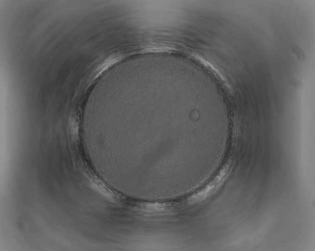 X0000112521401200908171345