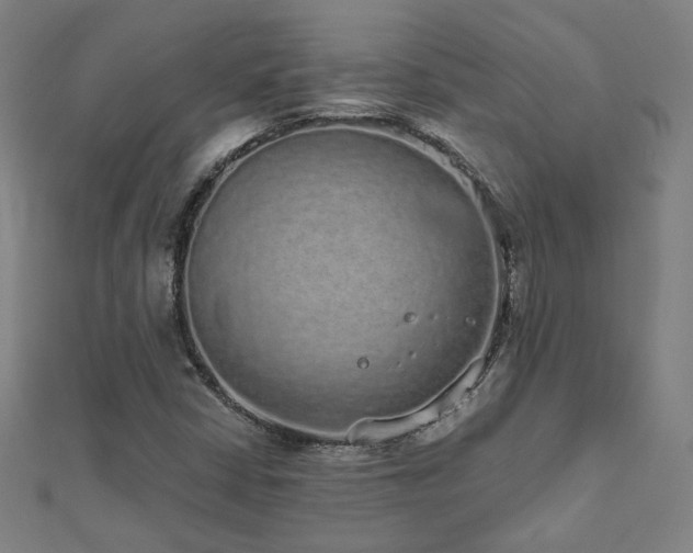 X0000112521402200908171345