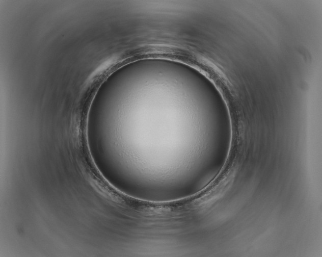 X0000112521403200908171345