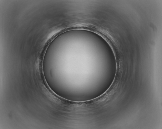 X0000112521404200908171345