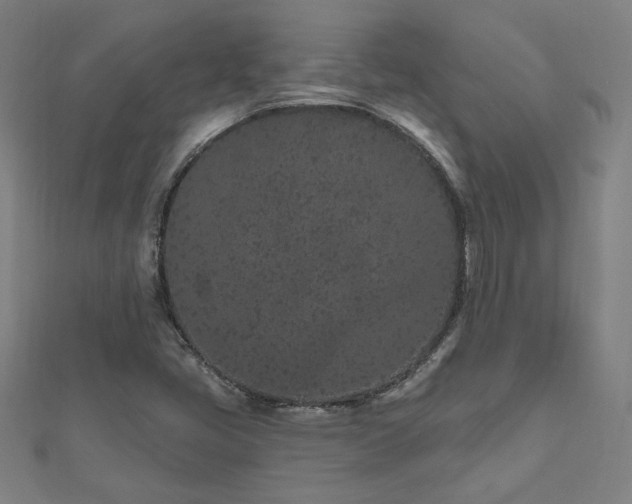 X0000112521405200908171345