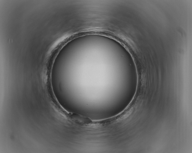 X0000112521406200908171345