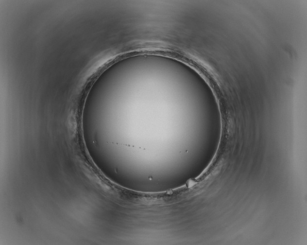 X0000112521407200908171345