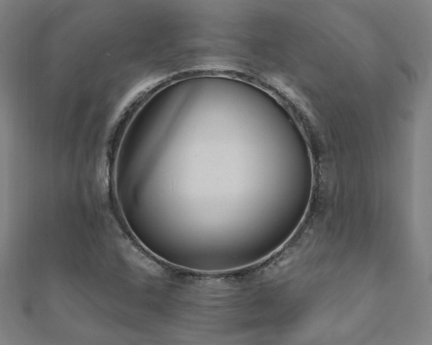 X0000112521408200908171345