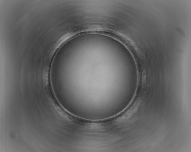 X0000112521409200908171345