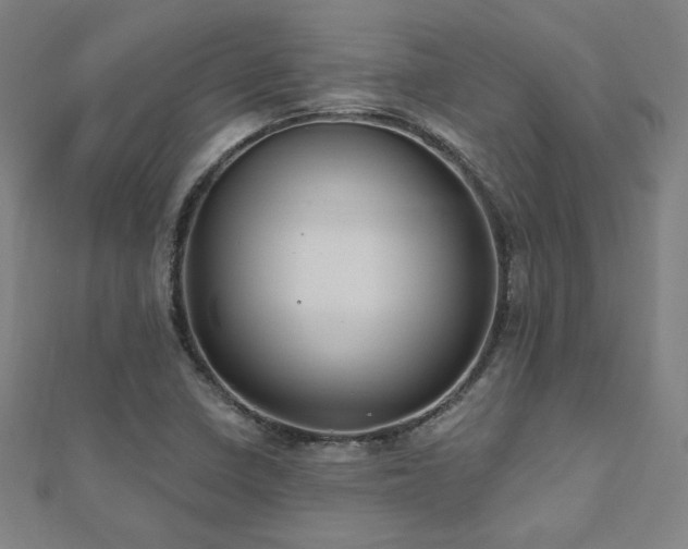 X0000112521410200908171345
