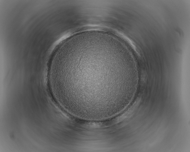X0000112521411200908171345