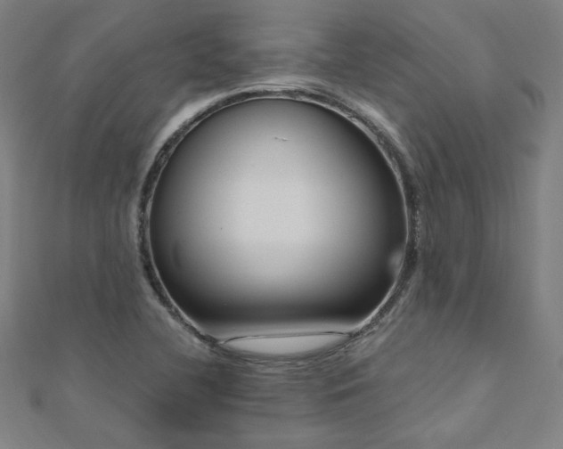 X0000112521412200908171345