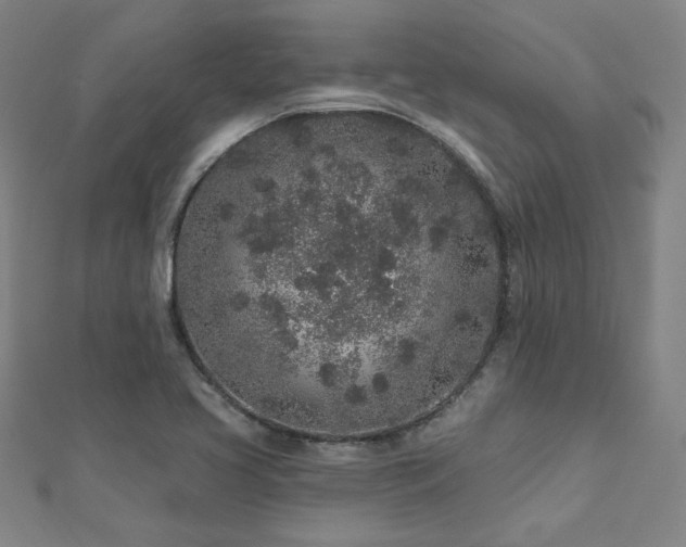 X0000112521413200908171345