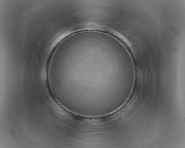 X0000112521415200908171345