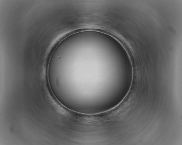 X0000112521416200908171345