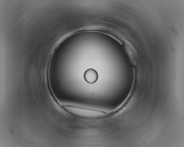 X0000112521417200908171345