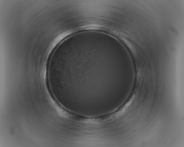 X0000112521418200908171345