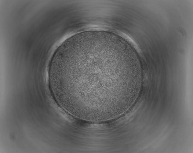 X0000112521419200908171345